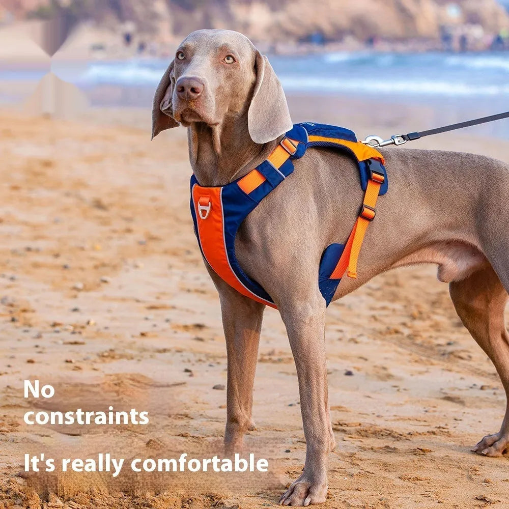 Nylon dog chest strap vest harness in orange blue or yellow brown with hand rope style design