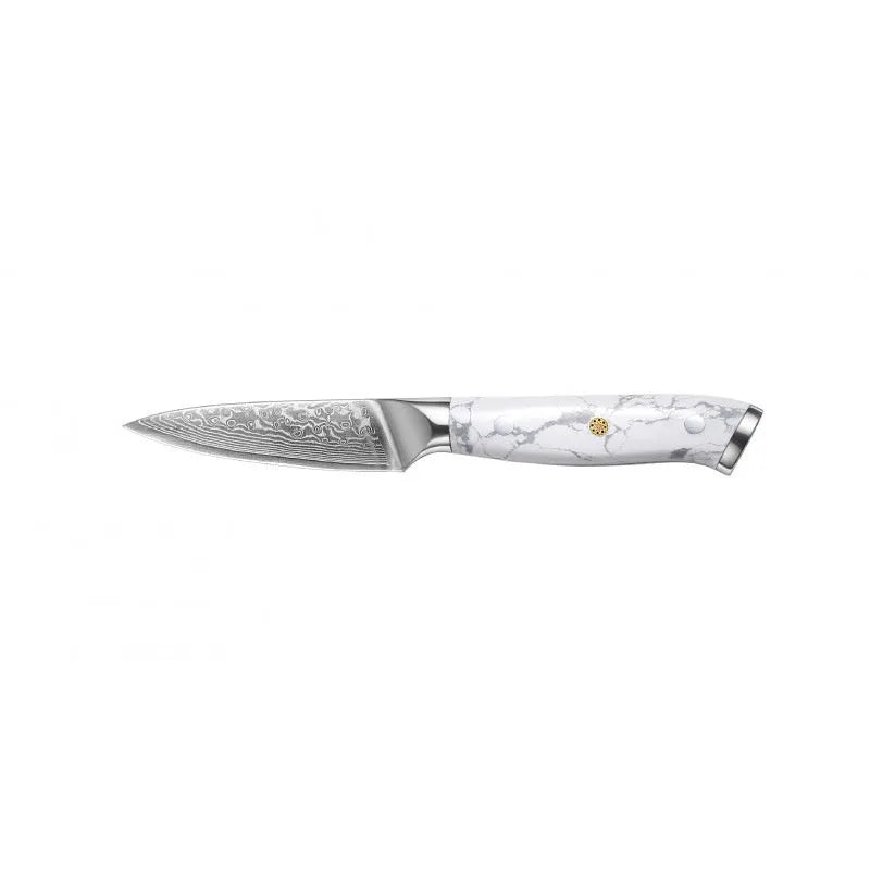 Damascus VG10 steel combined chef's knife with 21cm blade for kitchen use