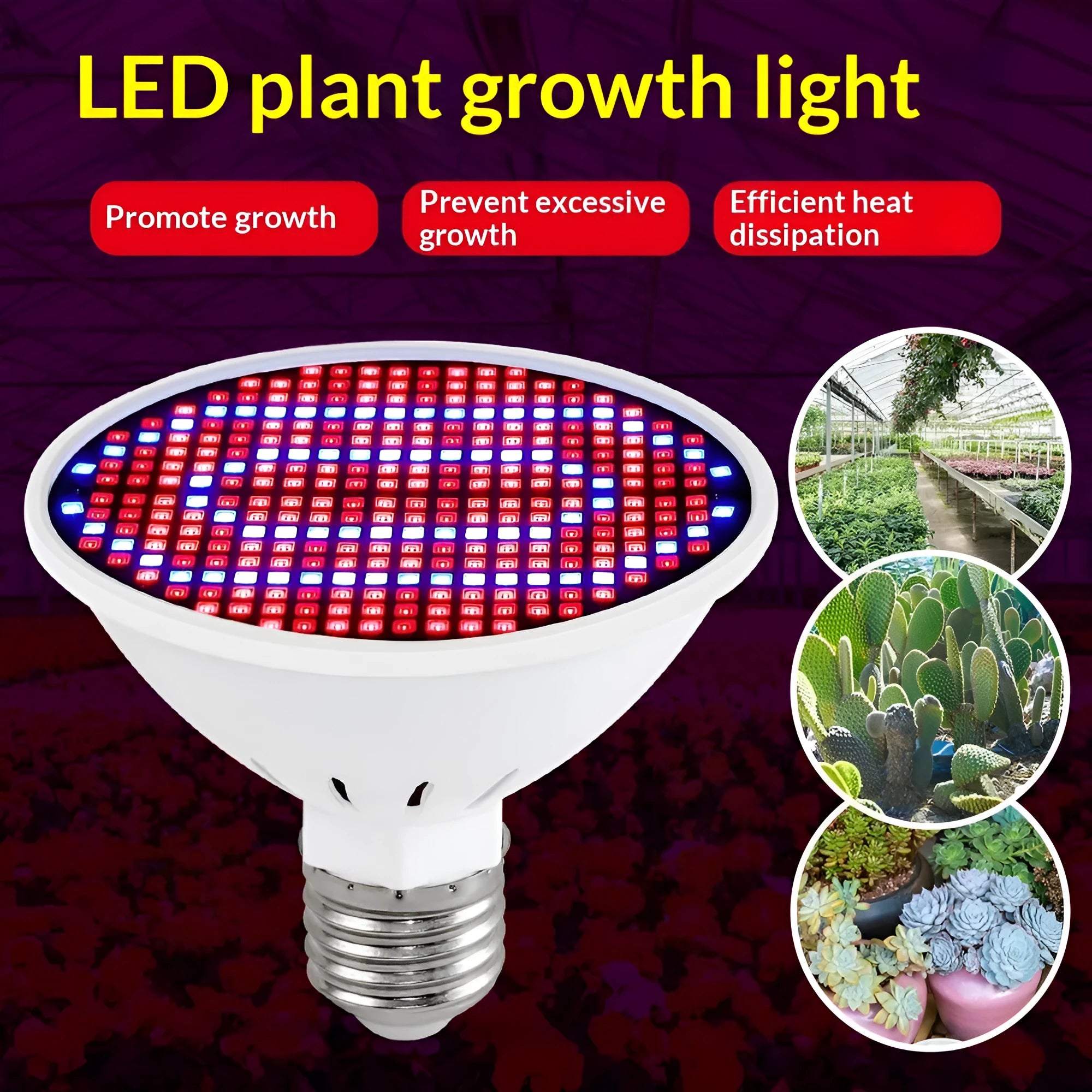 Red-blue spectrum plant growth fill light with 200 LED beads in PC shell