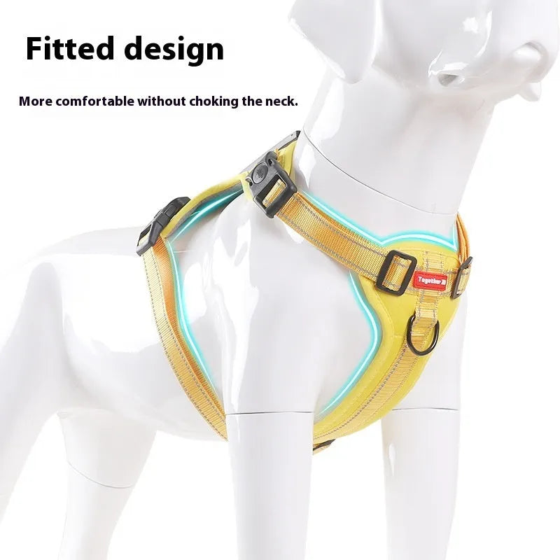 A polyester dog chest harness and lead set shown in a choice of colours including red and blue.