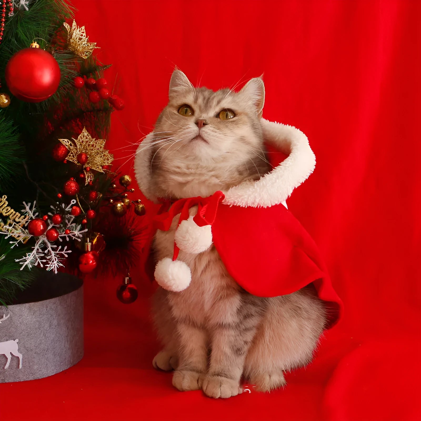 Red polar fleece Christmas cloak with hood for dog or cat wearing antler pattern design.