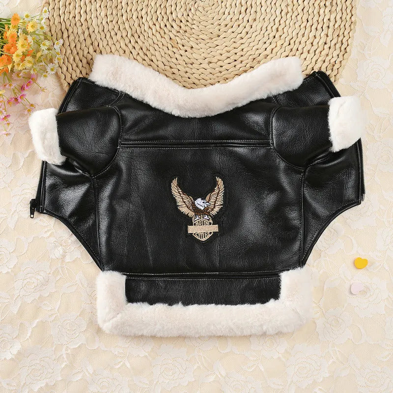 Black leather dog jacket shown on a medium-sized dog for autumn and winter wear.