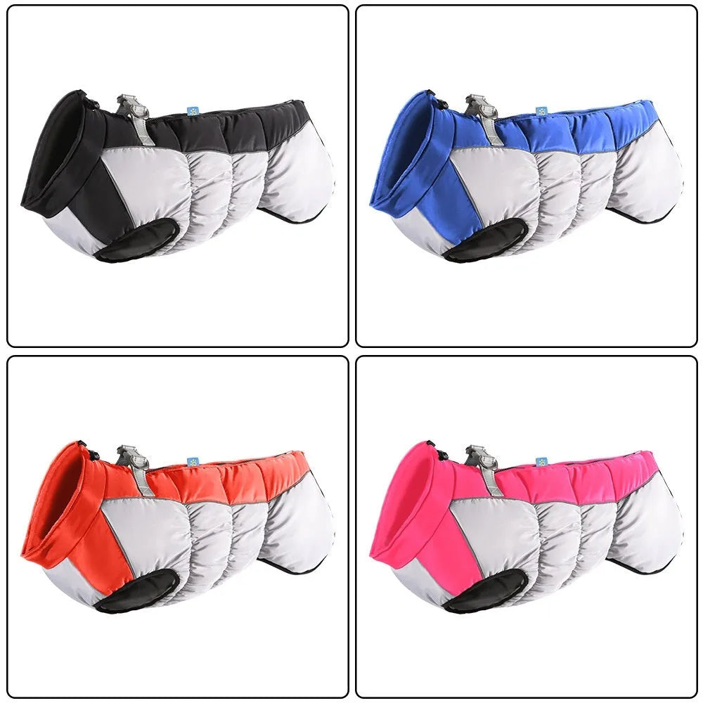 Large dog wearing a waterproof winter coat with reflective strips and polar fleece lining