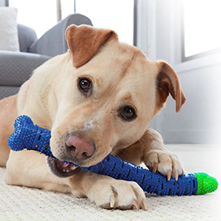 Blue and green silicone dog molar tooth cleaning toy with textured brush head and nodules, 25cm long.