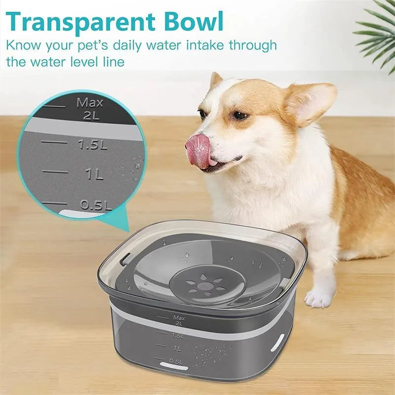 Transparent plastic pet water bowl with floating disc showing water level and non-slip base