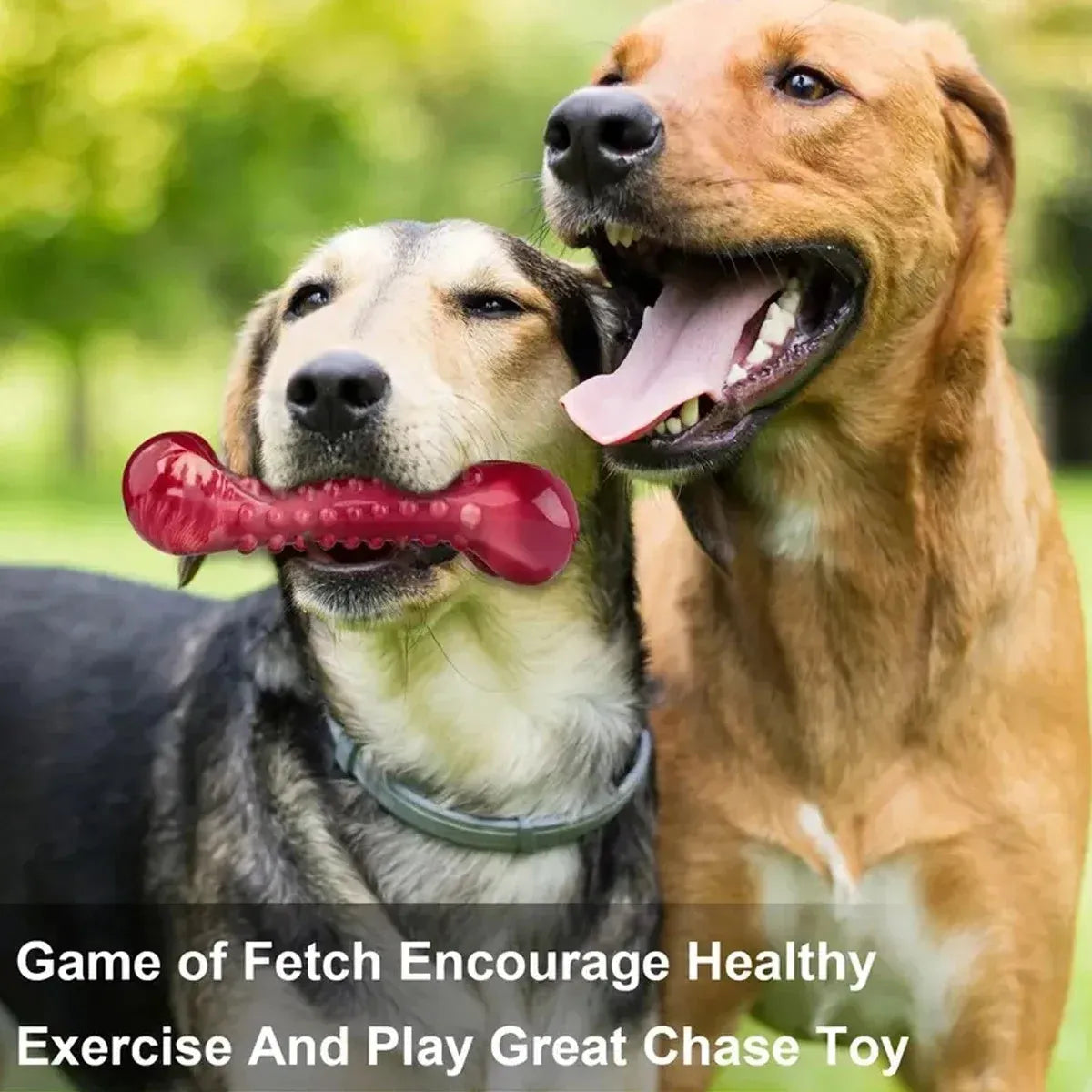 Red natural rubber chew toy for aggressive dogs with durable heavy-duty construction