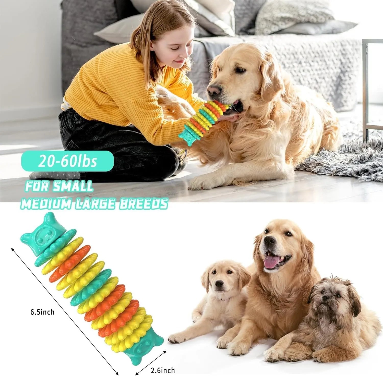 Blue caterpillar-shaped rubber dog chew toy for aggressive chewers