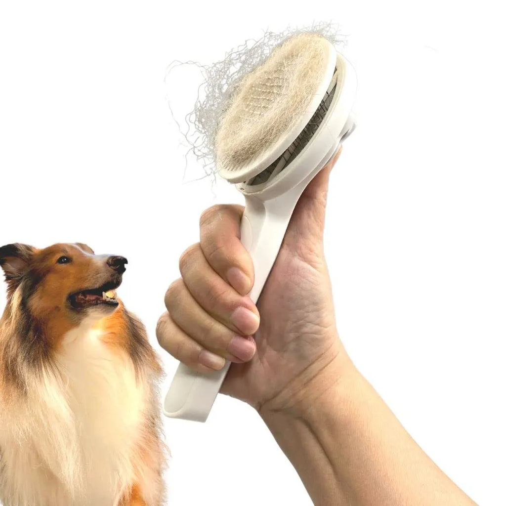 Self-cleaning slicker brush for pet grooming with ergonomic rubber handle in blue, grey, or pink