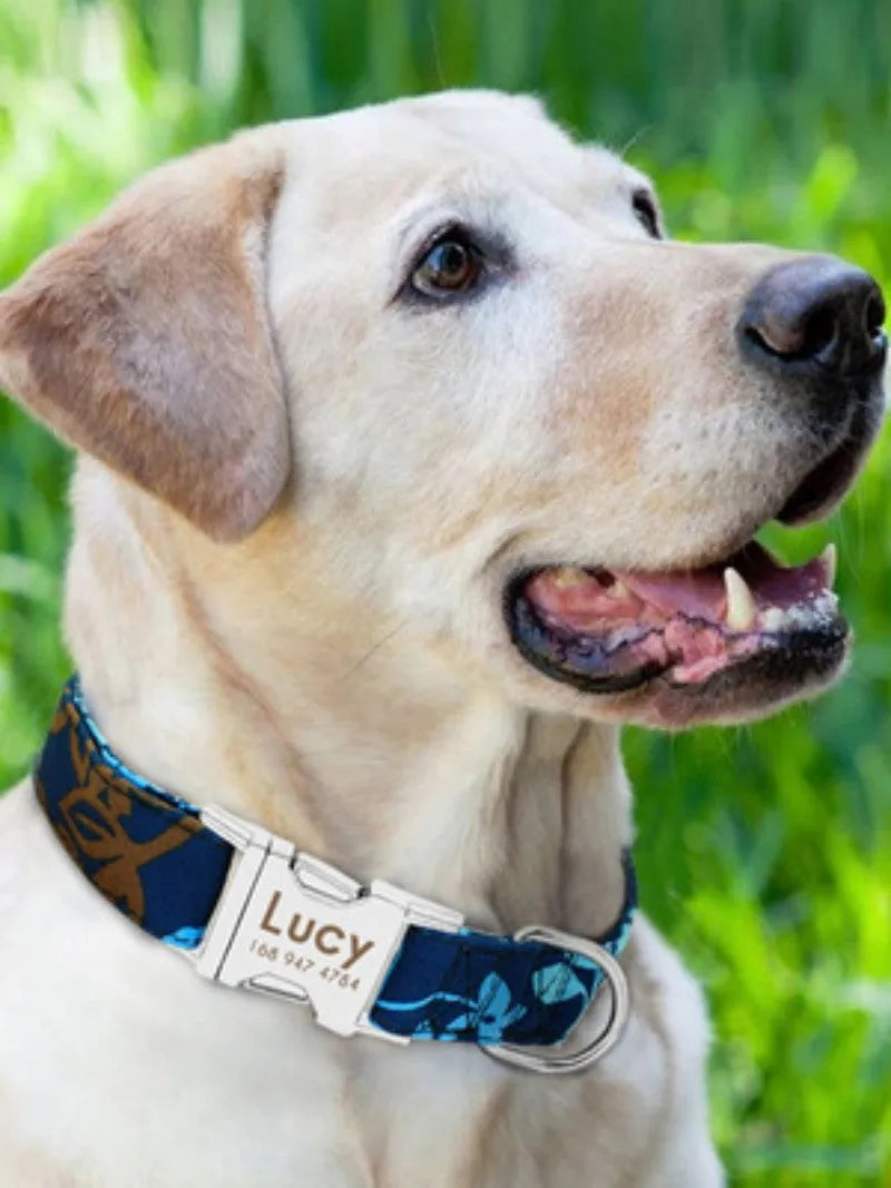 Dog collar shown in black, green, and rose red, labelled with Small, Medium, and Large size tags.