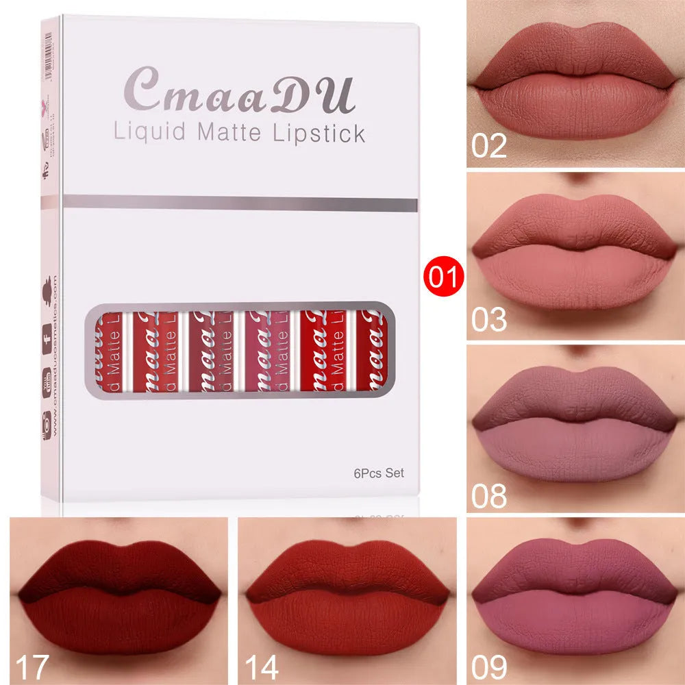 Box containing six tubes of matte finish, waterproof lip gloss in assorted styles.