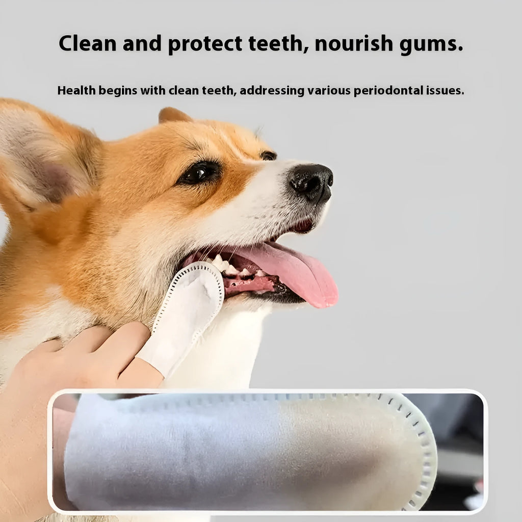 Pack of 50 soft non-woven pet dental cleaning finger stalls for cats and dogs.