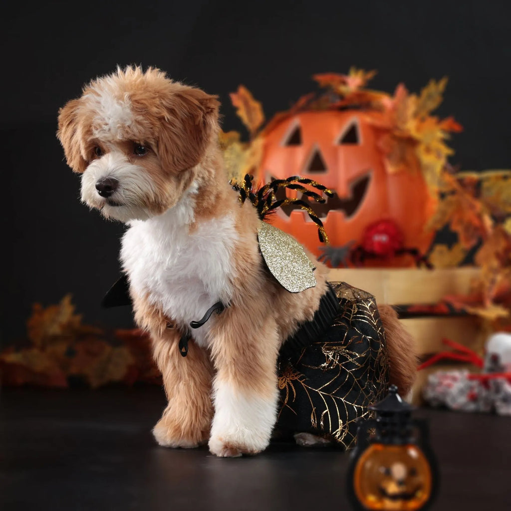 Suit-colour Halloween dog costume shown in S, M, L, and XL sizes for small to large breed pets