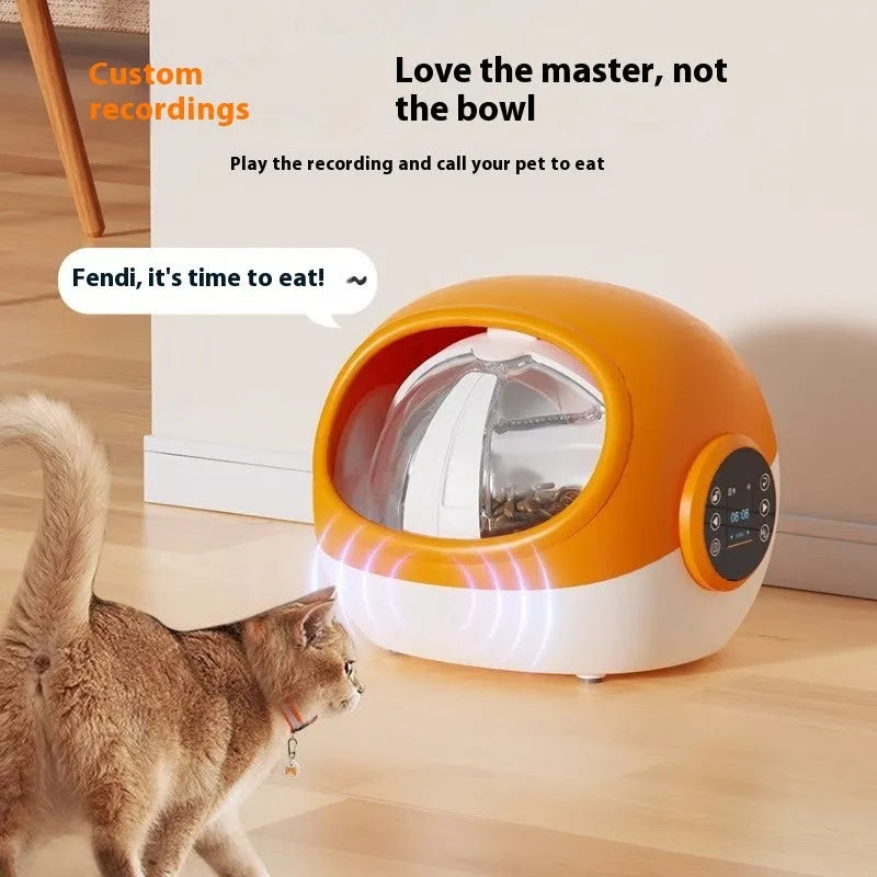 Pet anti-grab chip identification automatic cat feeder with plastic body and UK power supply