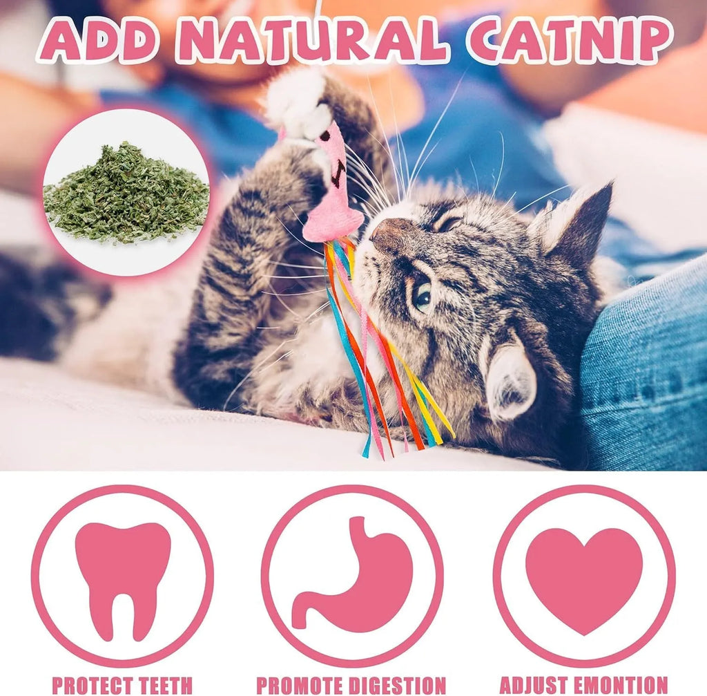Cat wand toy with wooden handle, catnip fish attachment, colourful ribbons, and bell