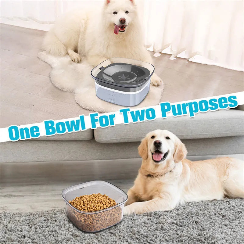 Transparent plastic pet water bowl with floating disc showing water level and non-slip base