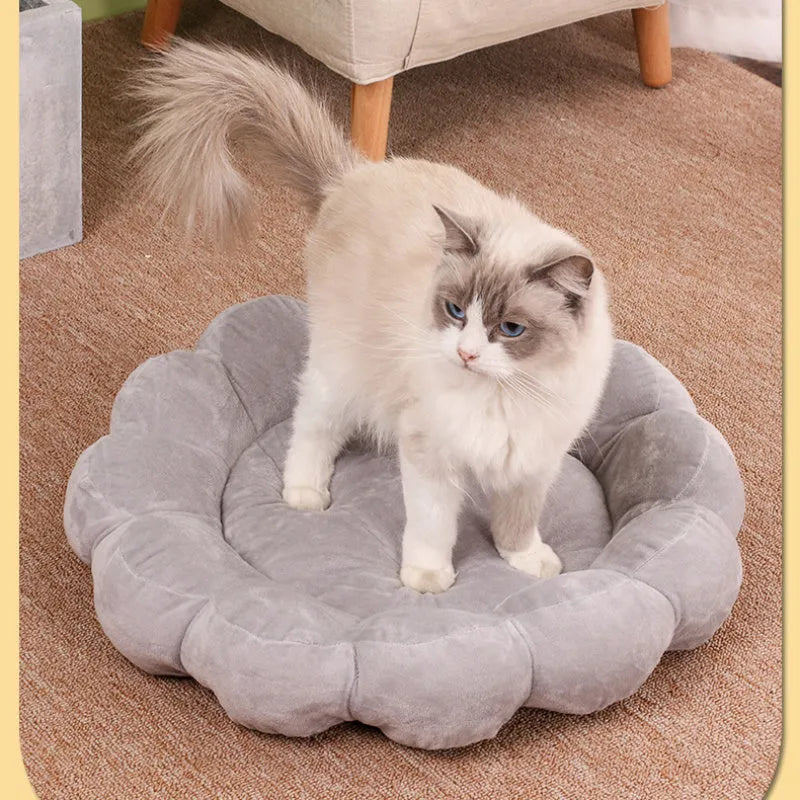 Square blue half-surrounded plush pet bed for small dogs and cats on a wooden floor.
