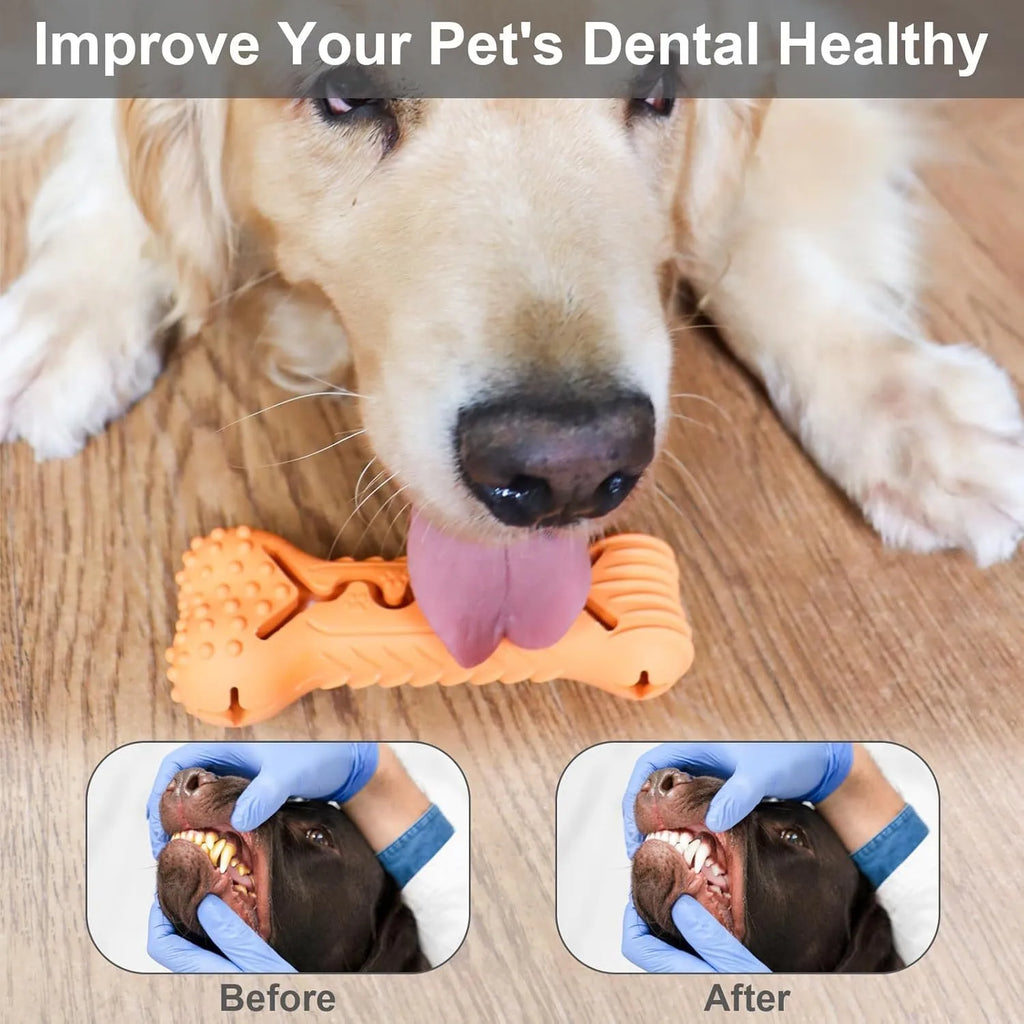 Natural rubber bone-shaped dog chew toy in blue, green, or orange colours with textured surface for teeth cleaning