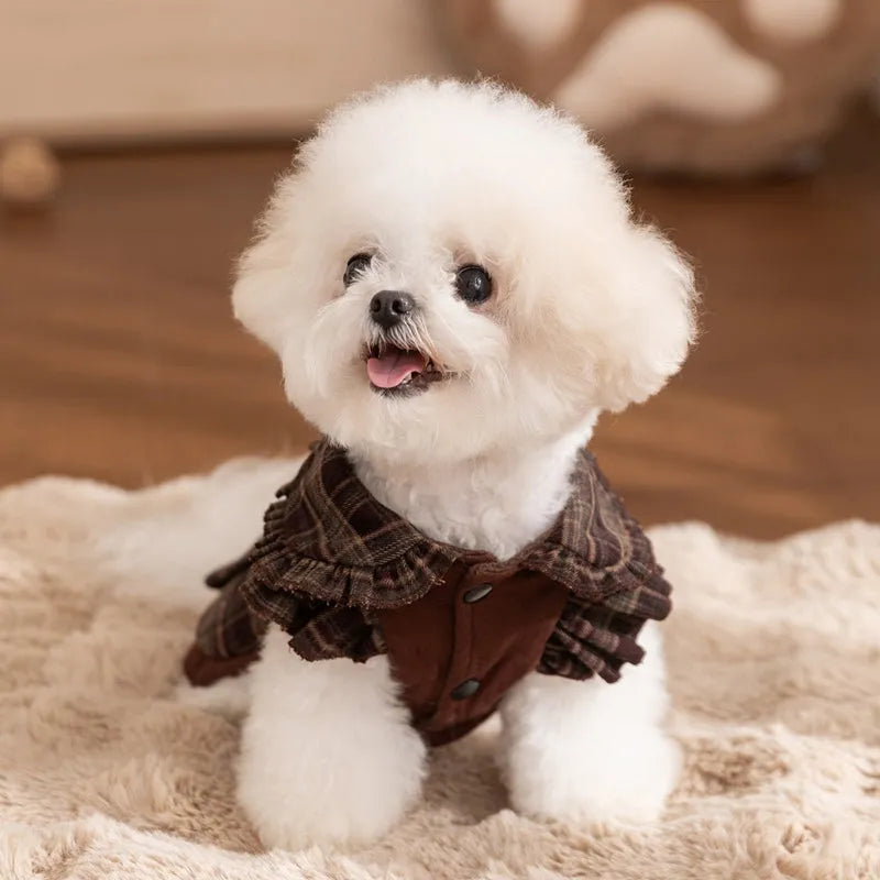 Fleece-lined brown plaid pet sweater dress with ruffle trim on a small dog, showing stretchable knit and skirt silhouette