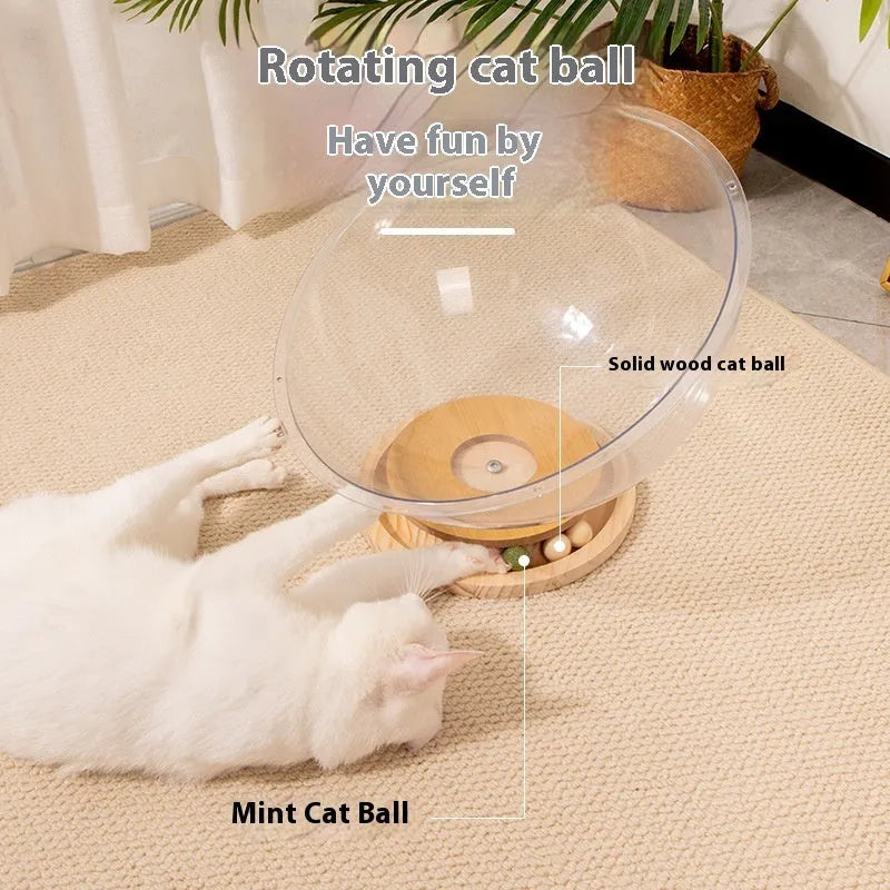 Transparent acrylic space capsule-shaped cat bed on a turntable, showing large size option.