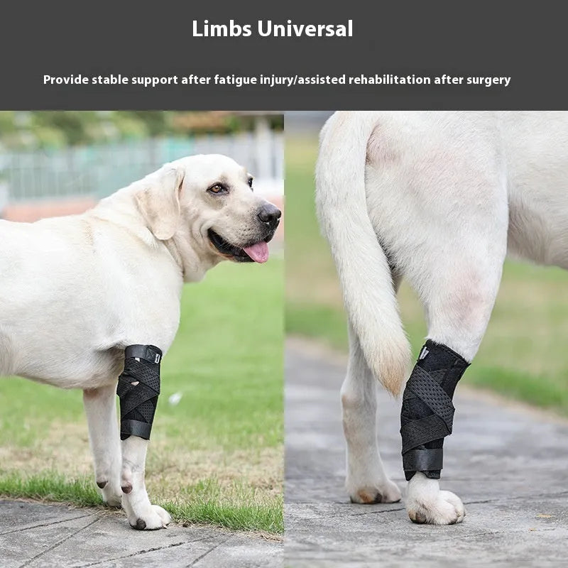 Black polyester pet dog auxiliary strap second generation upgrade with LXL and SM sizes