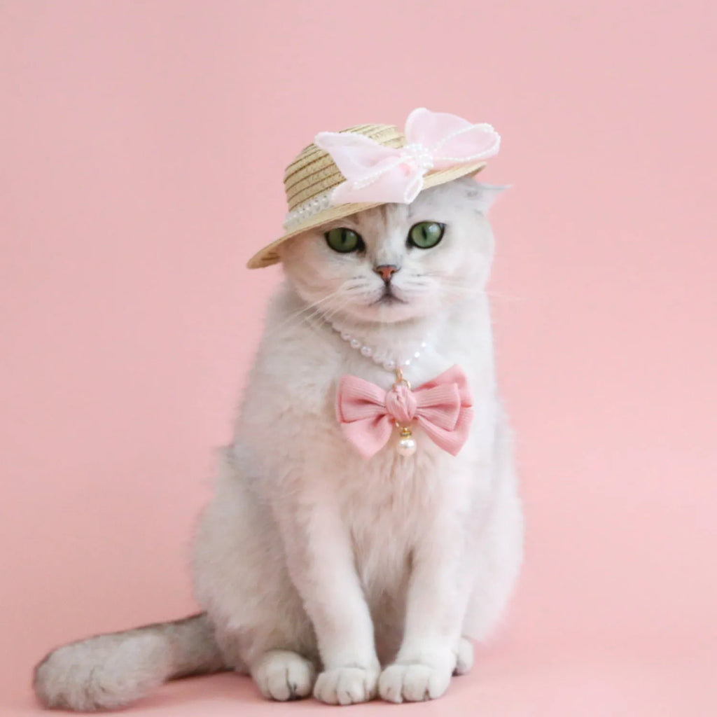 Woven straw cat hat with a pearl bow, shown in blue, pink, purple, and white colour options