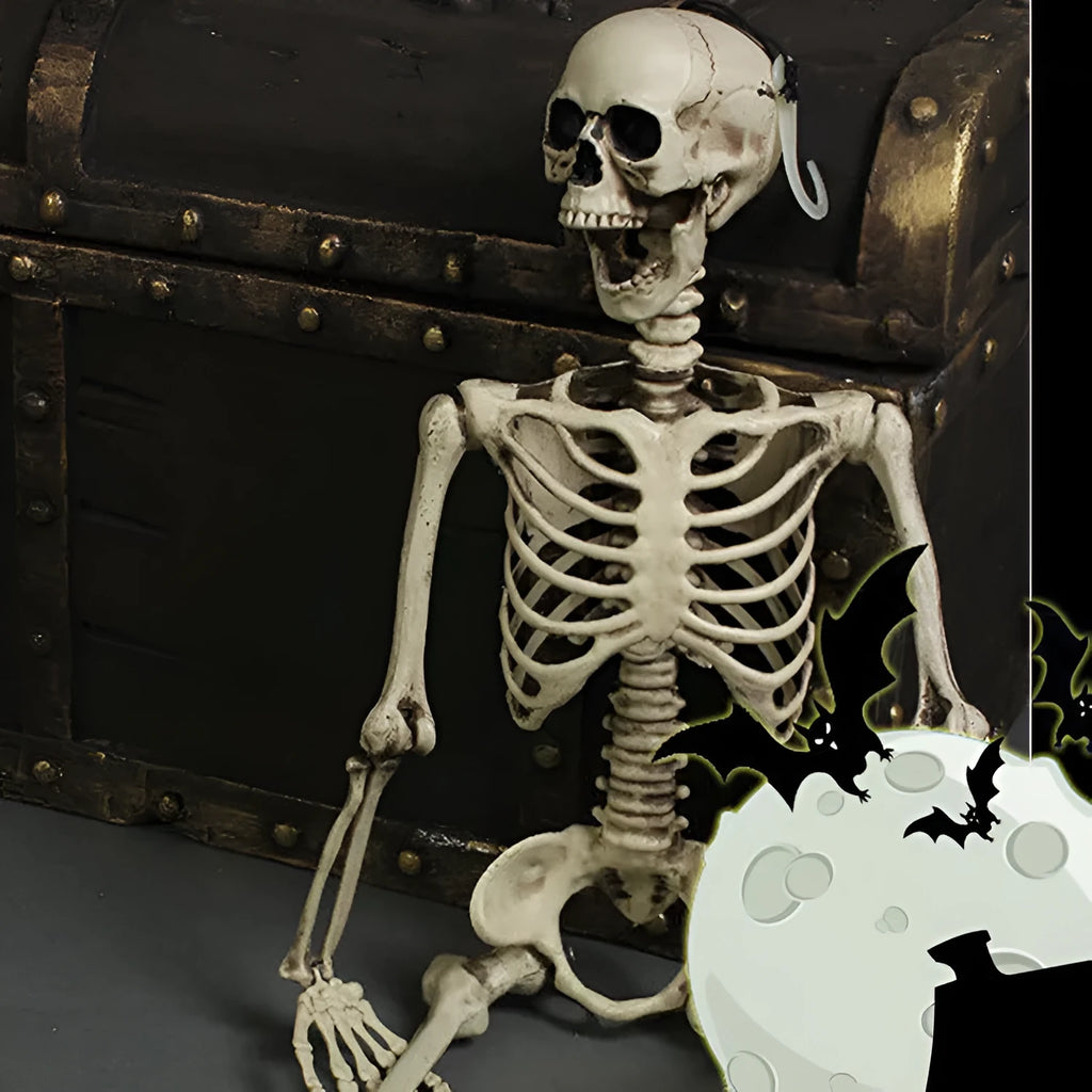 170cm plastic skeleton prop with realistic skull, full body, off-white bone finish, standing upright