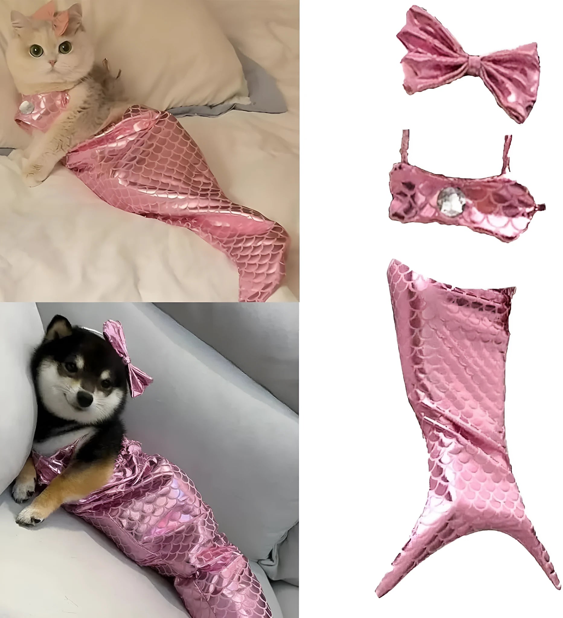 Blue pet mermaid costume with scale pattern on a cat, showing elastic chest strap and long fishtail.