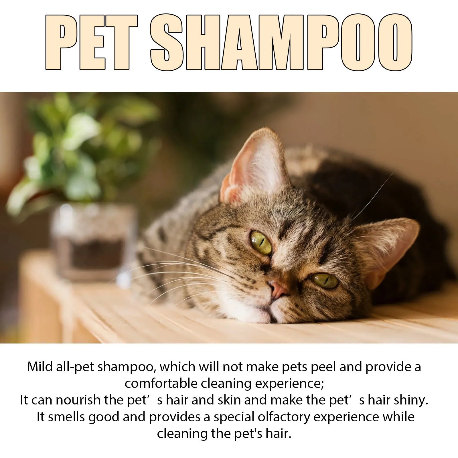 Mild pet shampoo bottle for cats and dogs with hair softening formula