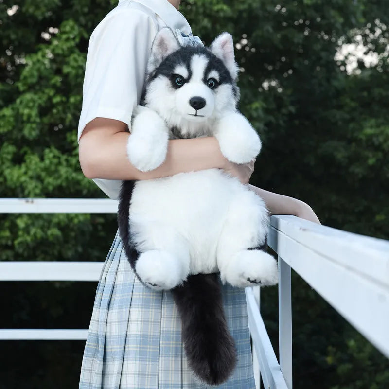 Husky plush simulation bag toy with a scarf in a colour gift box