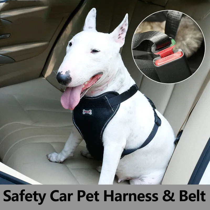 Mesh bumps pet car seat belt chest strap in black and blue for dogs and cats sizes S M L XL