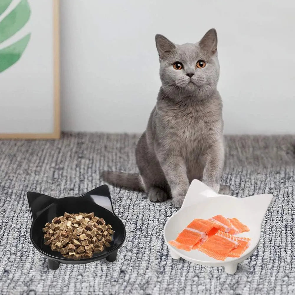 White shallow melamine pet bowl with non-slip rubber base for cats and dogs.