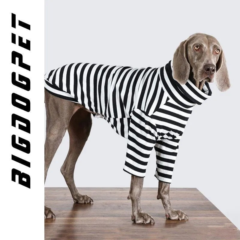 Large dog wearing thin black and white polyester inner clothing