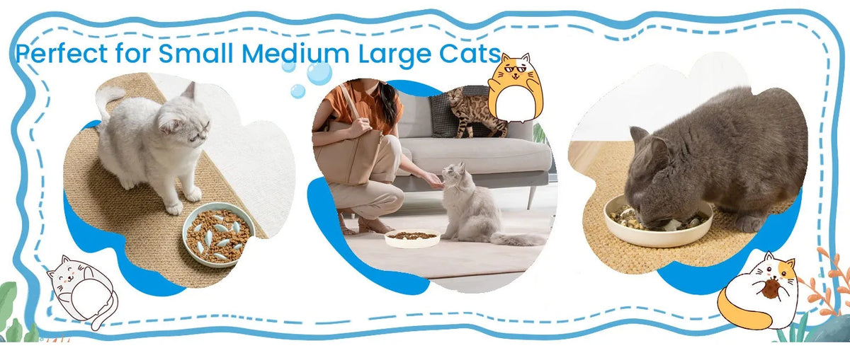 Pink whale-shaped cat slow feeding bowl with raised edge and non-slip base on a floor