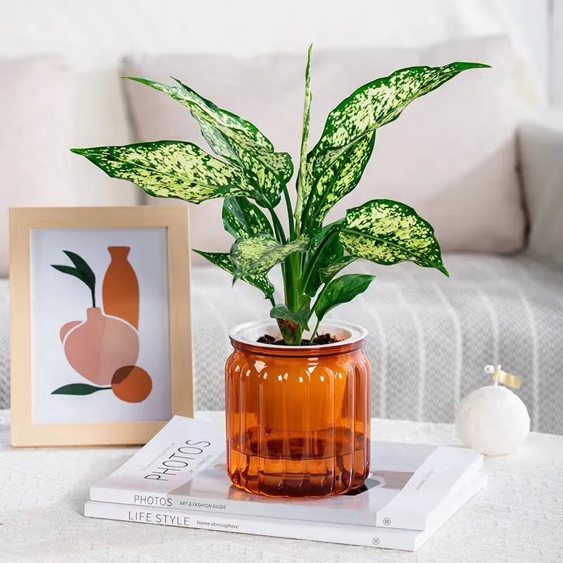 Self-absorbent transparent plastic resin flowerpot for desktop hydroponic planting of small green plants