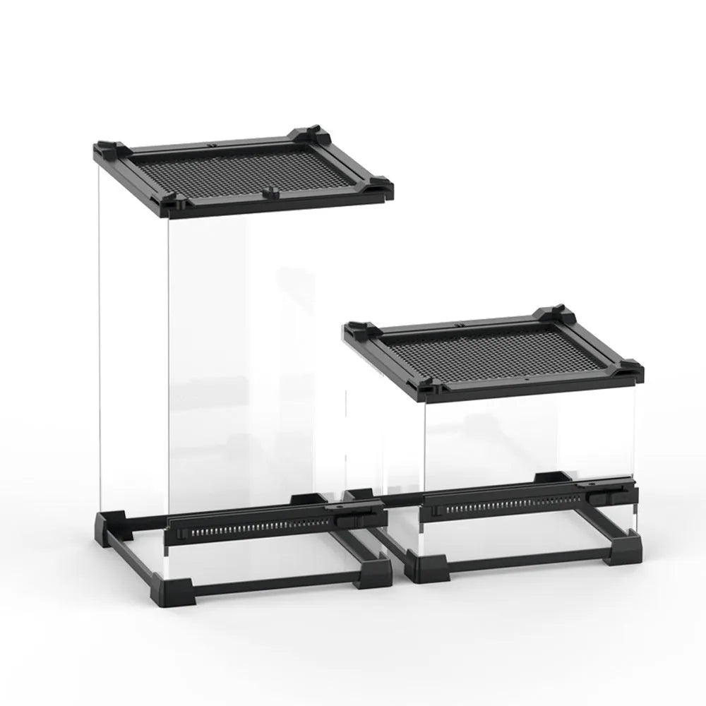 Transparent glass cylinder lizard turtle feeding box on surface with climbing pet visible inside