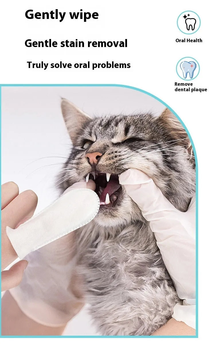 Pack of 50 soft non-woven pet dental cleaning finger stalls for cats and dogs.