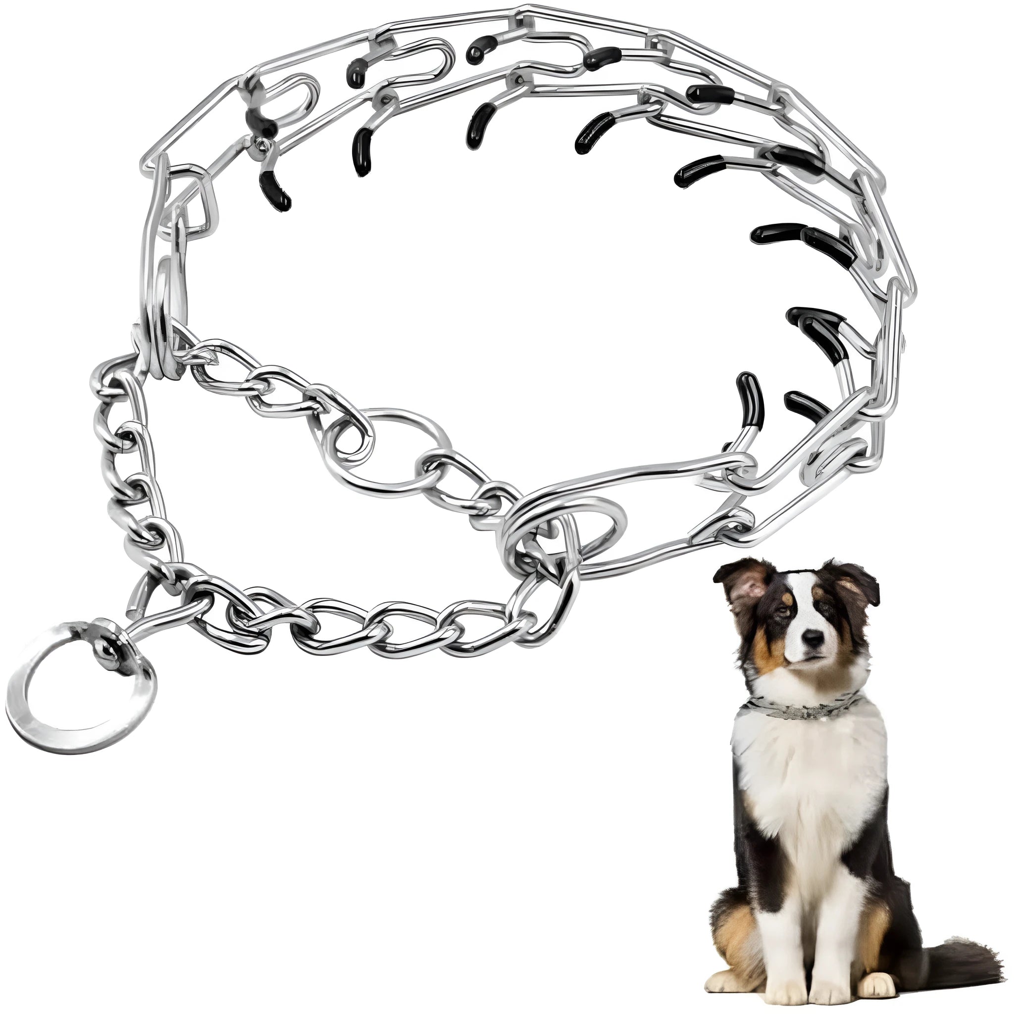 Stainless steel dog prong training collar with round head links and rubber tips in adjustable sizes