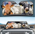 Telescopic car sun shield made from aluminium foil for front windscreen protection
