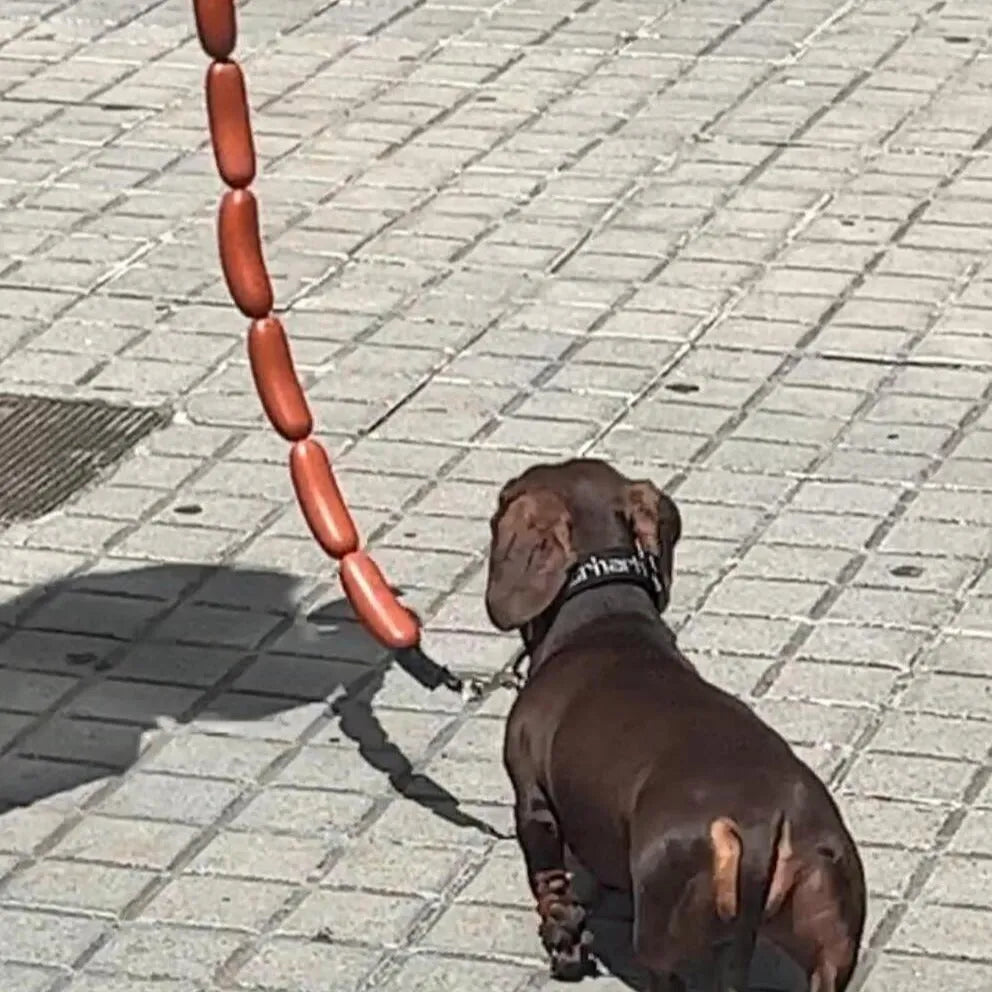 Brown nylon cat toy leash with large sausage segments and a black grip tape handle, shown at full 108cm length.
