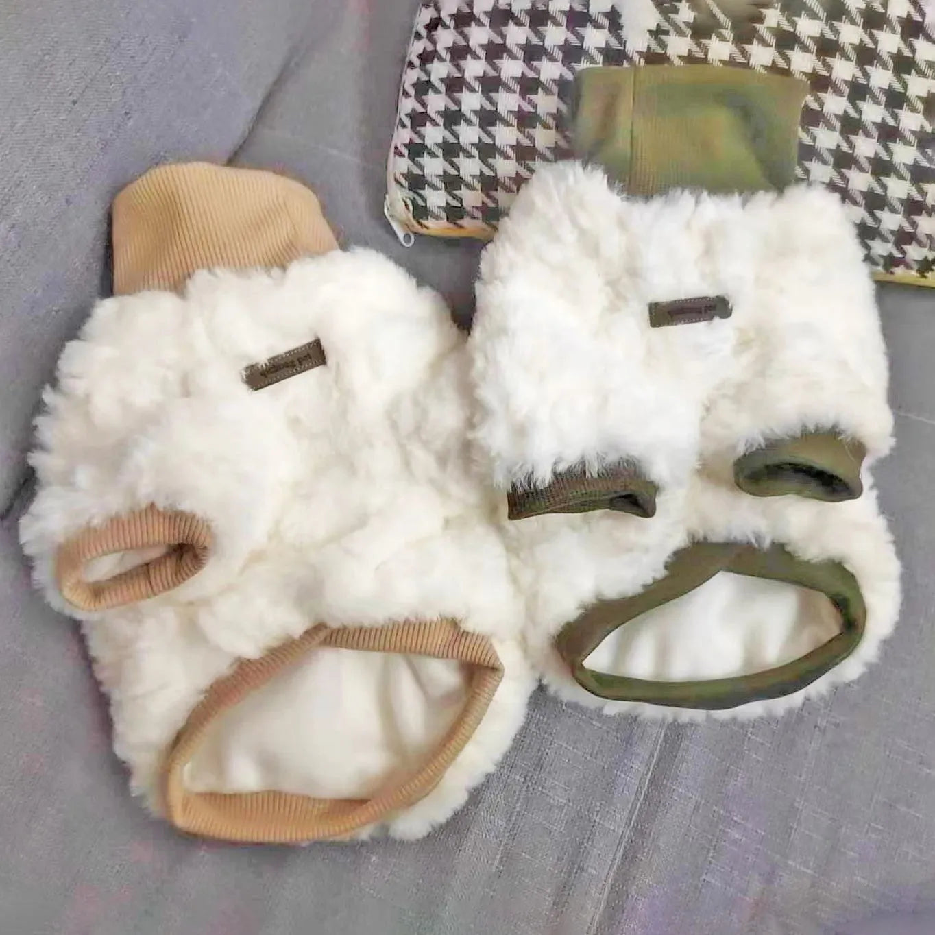 Small dog wearing thick turtleneck winter coat with plush padding in creamy green colour
