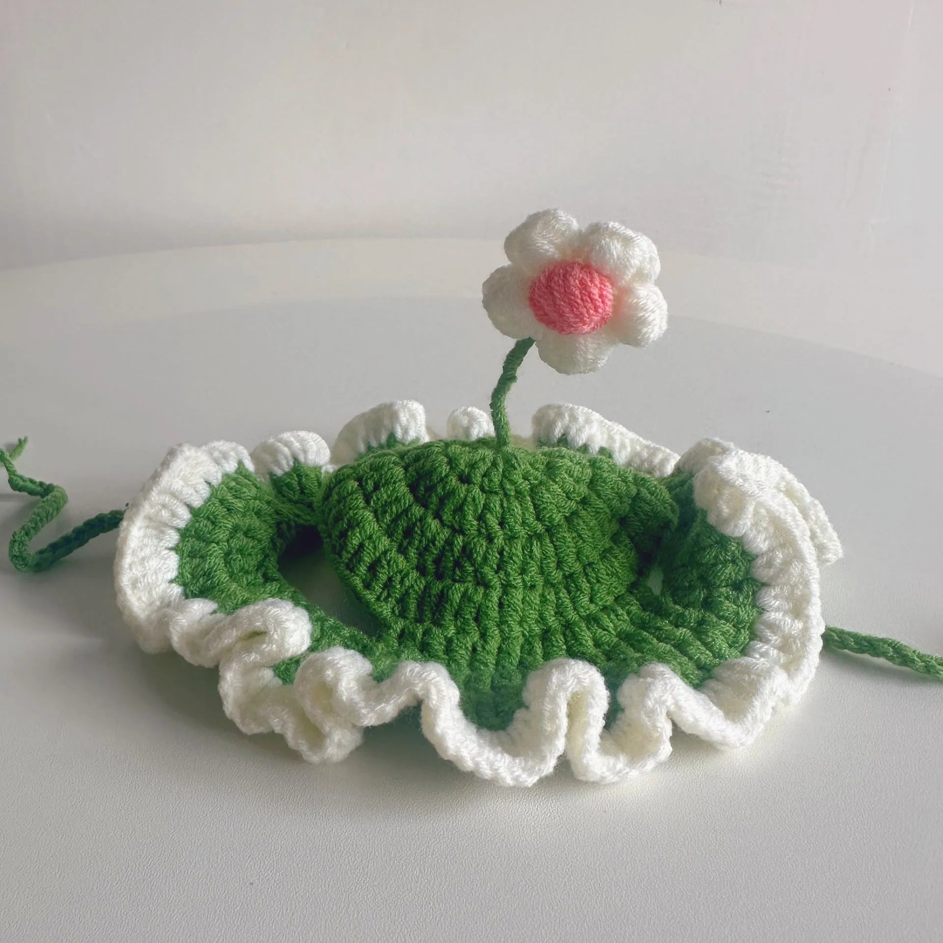 Green knitted cat hat with cartoon design on a small dog, showing soft fabric.