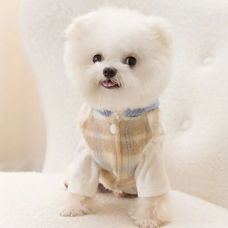 Blue hooded dog vest with chessboard grid pattern in corduroy fabric for autumn winter wear