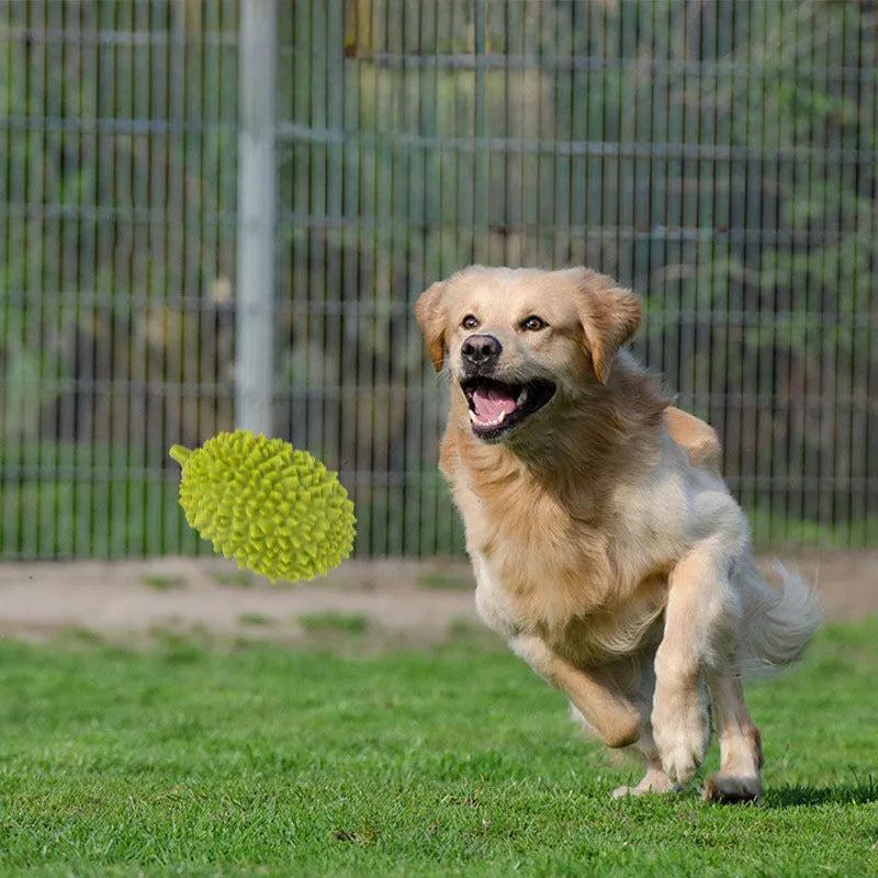 Durian-shaped dog chew toy in yellow with squeaker and tooth cleaning ridges