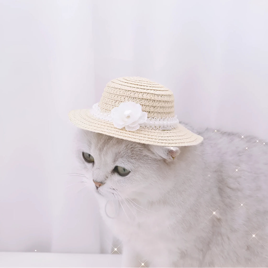 Handmade adjustable bow knot paper pet hat in cartoon style for dogs and cats, shown in multiple colours.