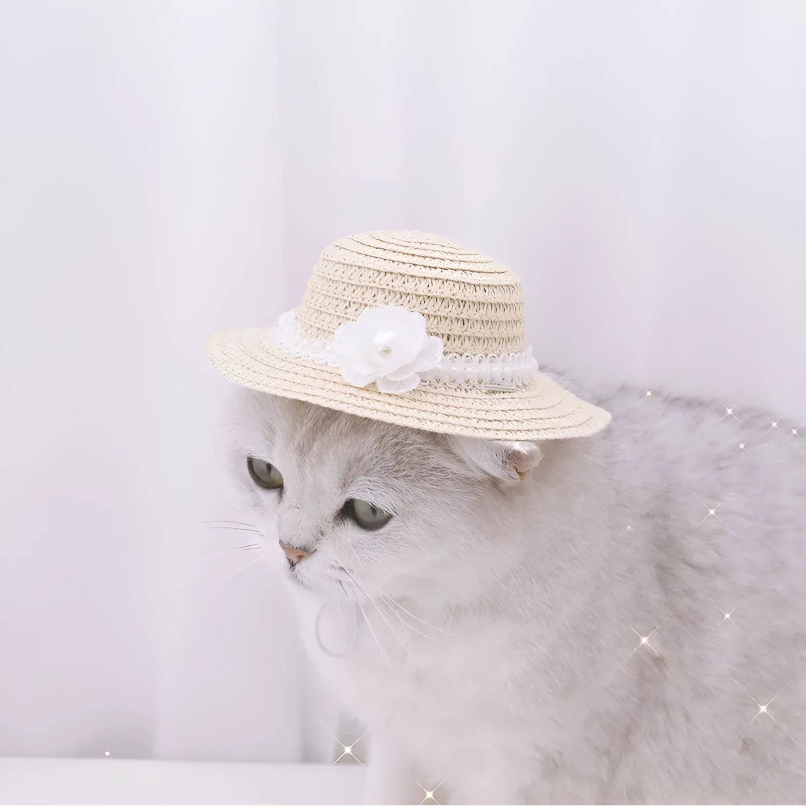Handmade adjustable bow knot paper pet hat in cartoon style for dogs and cats, shown in multiple colours.