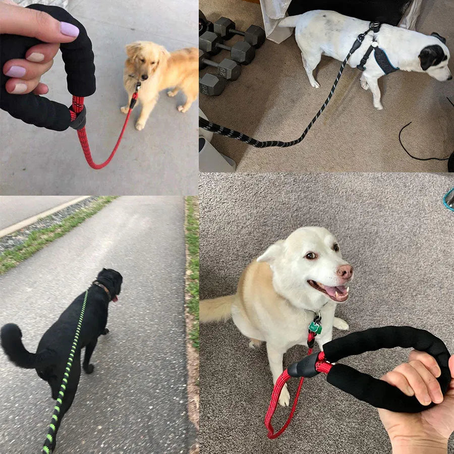 Small medium dog luminous leash chain reflective nylon 1.5m length blue colour padded handle training lead