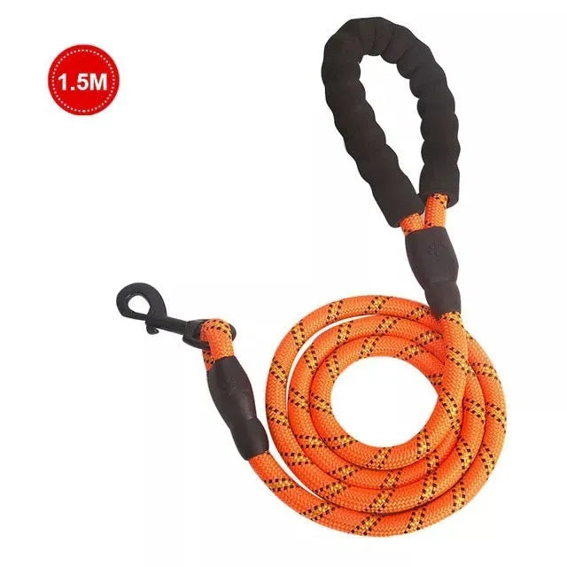 Small medium dog luminous leash chain reflective nylon 1.5m length blue colour padded handle training lead