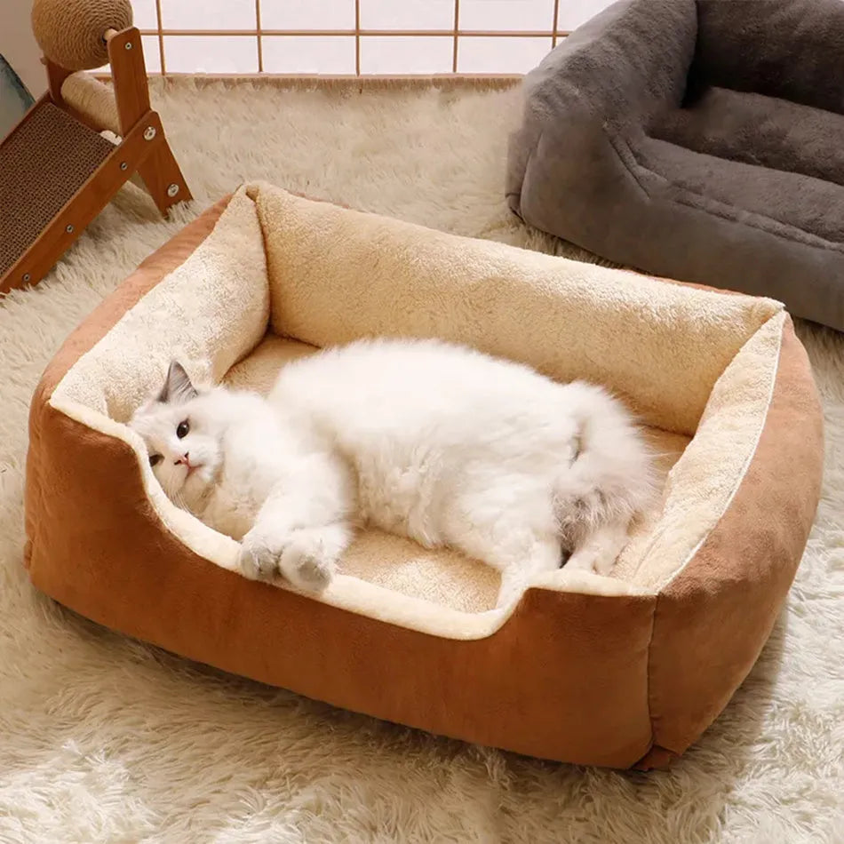 Short plush pet bed for cats and small dogs in one of five colour options