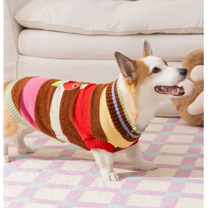 Corgi special rainbow apple striped knitted dog pullover sweater in brown and white on a light background