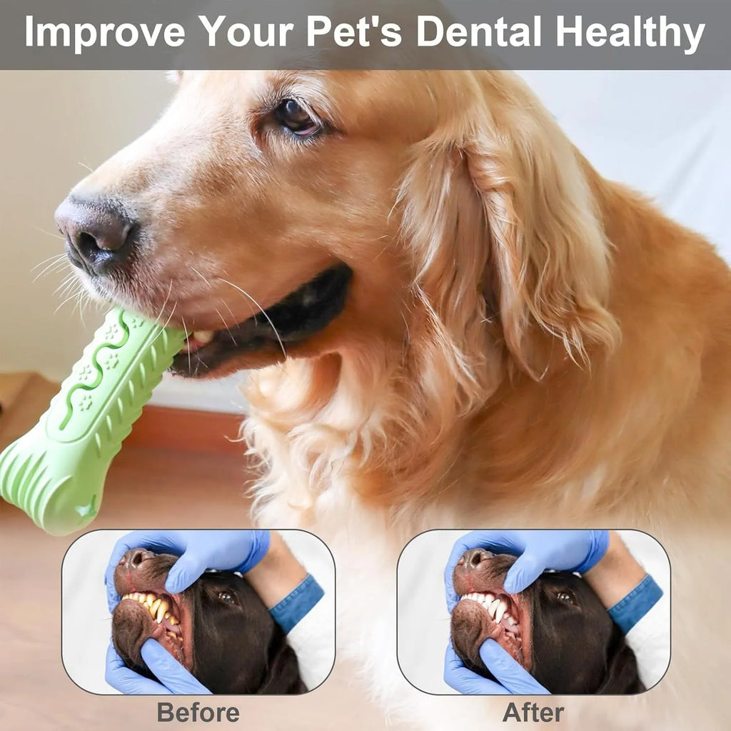 Natural rubber bone-shaped dog chew toy in blue, green, or orange colours with textured surface for teeth cleaning
